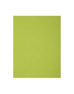 Рулонная штора Delfa Сантайм Лен СРШ-01 МД2653