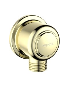 Подключение для душевого шланга Aquatek AQ2461PG