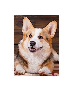 Набор алмазной вышивки Корги / АЖ-1466 Алмазная живопись