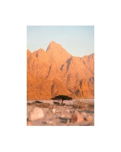 Картина на стекле Stamprint В пустыне NT031