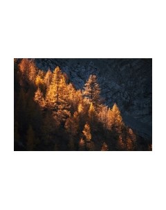 Картина на стекле Stamprint Золотая осень NT032