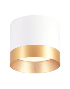 Точечный светильник Ambrella GX53 TN5315 WH/GD