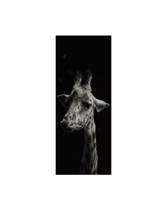 Картина на стекле Жираф AN020 Stamprint
