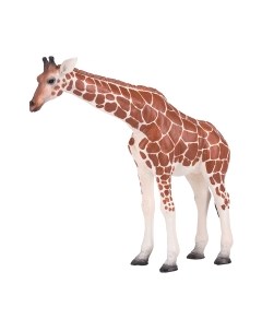 Фигурка коллекционная Konik Жираф Самка / AMW2010