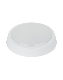 Светильник ЖКХ ЭРА SPB-301-0-4K-20 / Б0055045 Эра