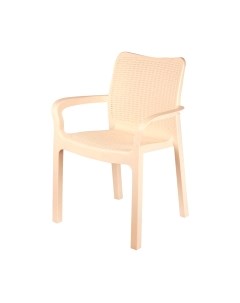 Стул пластиковый Ingreen Rattan / ING6182СЛВ