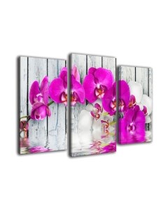 Картина модульная Arthata m-002448