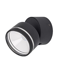 Светильник уличный Citilux CLU0008R