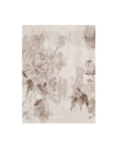 Фотообои листовые Vimala Цветы на штукатурке