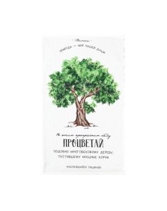 Набор полотенец Доляна Красота / 5423112