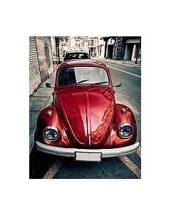 Фотообои листовые Citydecor Жук