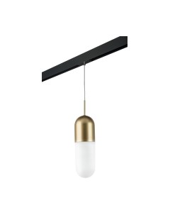 Трековый светильник Lightstar Ramo / PRO690113