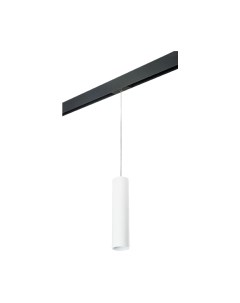 Трековый светильник Lightstar Rullo PRORP496