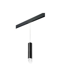 Трековый светильник Lightstar Rullo PRORP49736