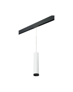 Трековый светильник Lightstar Rullo PRORP4963437