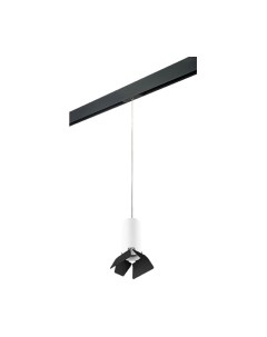 Трековый светильник Lightstar Rullo PRORP486437