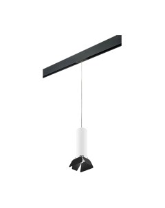 Трековый светильник Lightstar Rullo PRORP496437