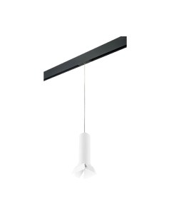 Трековый светильник Lightstar Rullo PRORP496436