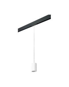 Трековый светильник Lightstar Rullo PRORP436