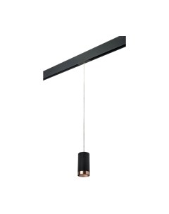 Трековый светильник Lightstar Rullo PRORP437430