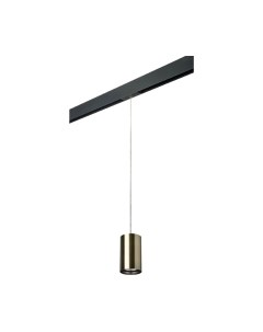 Трековый светильник Lightstar Rullo PRORP431