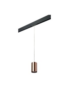 Трековый светильник Lightstar Rullo PRORP430