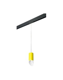 Трековый светильник Lightstar Rullo PRORP43336