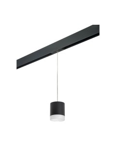 Трековый светильник Lightstar Rullo PRORP348780