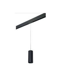 Трековый светильник Lightstar Rullo PRORP487