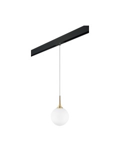 Трековый светильник Lightstar Globo / PRO813032