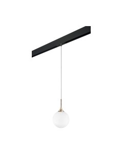 Трековый светильник Lightstar Globo / PRO813023