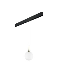 Трековый светильник Lightstar Globo / PRO813031