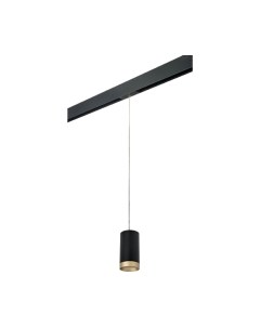 Трековый светильник Lightstar Rullo PRORP43740