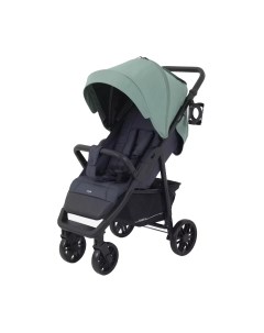 Детская прогулочная коляска Basic Vega / RA105 Rant