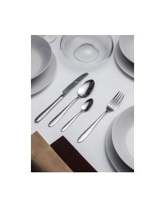 Набор столовых приборов Arya Timeless Marvel / 8680943109620