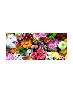 Фотообои листовые ФабрикаФресок Цветочная Оранжерея / 1016270 Фабрикафресок