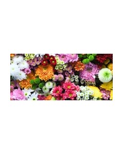 Фотообои листовые ФабрикаФресок Цветочная Оранжерея / 1011220 Фабрикафресок