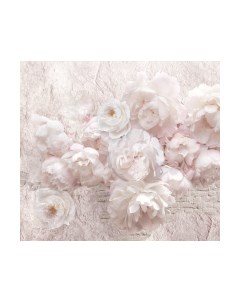 Фотообои листовые ФабрикаФресок Нежные Пионы 3D / 1193270 Фабрикафресок