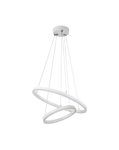 Потолочный светильник ESCADA Void 10254/2LED Escada