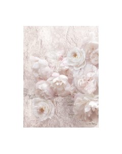 Фотообои листовые ФабрикаФресок Нежные Пионы 3D / 1192270 Фабрикафресок