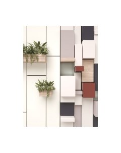 Фотообои листовые ФабрикаФресок Абстракция. Полки с Растениями / 1152270 Фабрикафресок
