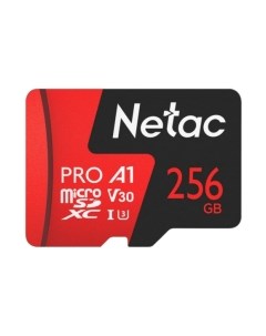 Карта памяти Netac MicroSD P500 Extreme Pro 256GB (NT02P500PRO-256G-S)