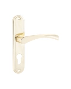 Ручка дверная Аллюр 103-1 55мм GP