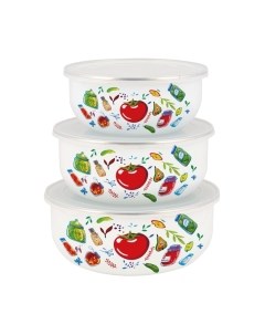 Набор контейнеров Marinades BW01-M Appetite