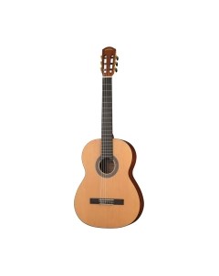 Акустическая гитара Cascha Stage Series CGC200