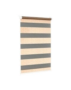 Рулонная штора Delfa Сантайм День-Ночь Роко МКД DN-43055