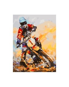 Картина по номерам БЕЛОСНЕЖКА Гонщик / 989-AS Белоснежка