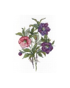 Набор для вышивания Морозник / НВ-545М М.п.студия