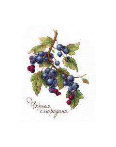 Набор для вышивания Дары природы. Чёрная смородина / НВ-694М М.п.студия