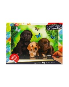 Картина по номерам Три друга / CANV30X40-MULTI67 Multiart